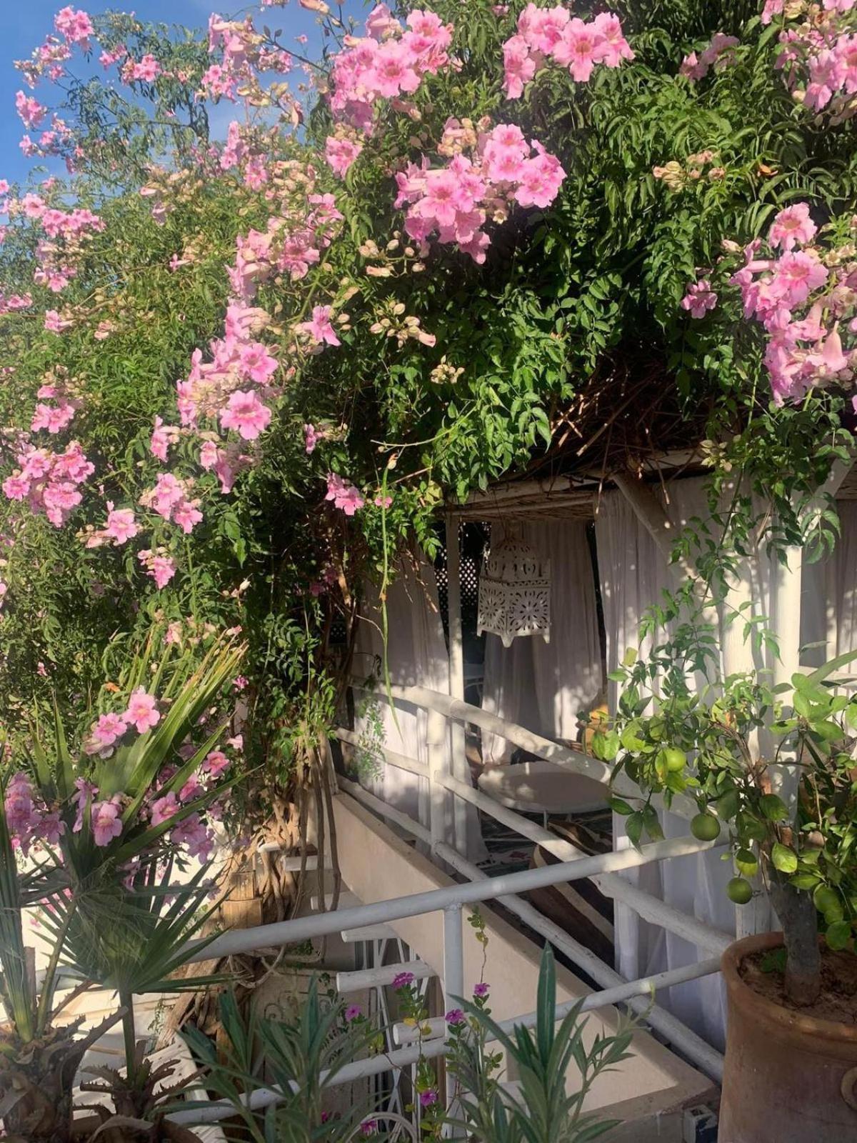 Made In Berbere Apartment Marrakesh Exterior foto